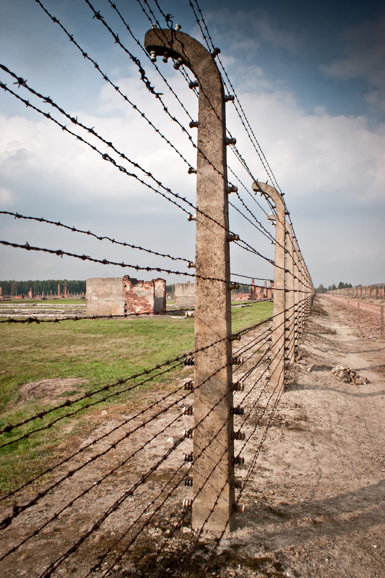 películas y libros sobre auschwitz birkenau